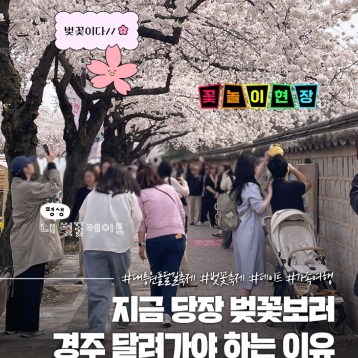 2026 Gyeongju Daereungwon Stone Wall Festival Begins!3120