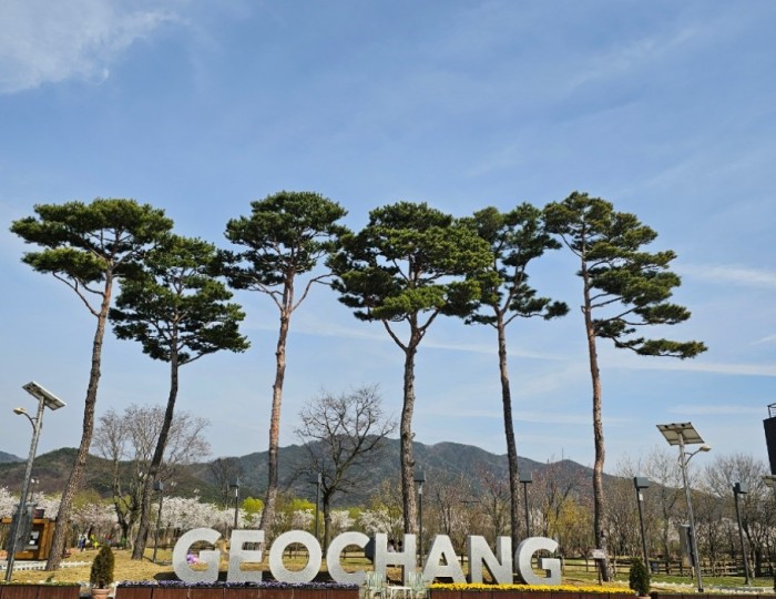 Spring at Geochang Changpo Garden float