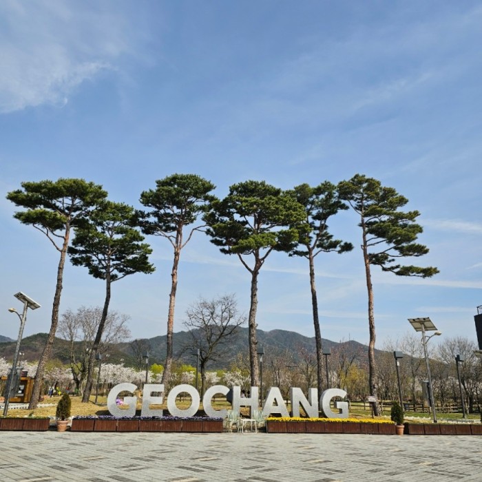 Spring at Geochang Changpo Garden3125