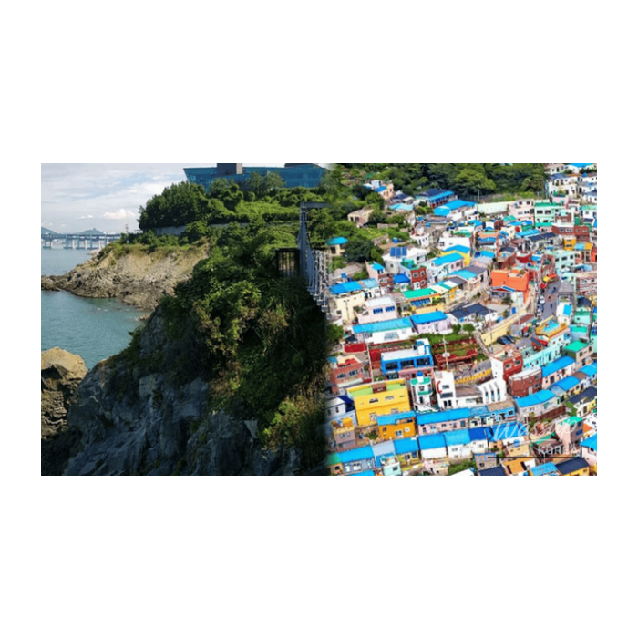 Top 4 Must-Visit Places in Busan for Spring Travel with Friends3124