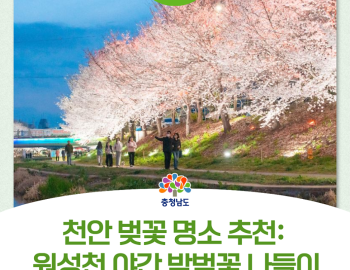 Spring Blossom at Wonsongcheon: A Breathtaking Experience float