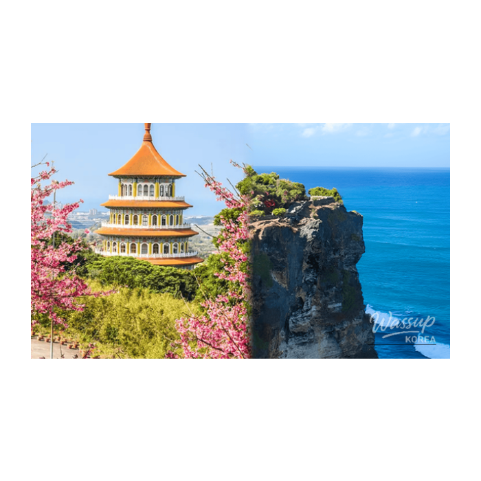 Top 4 Safe International Travel Destinations for Solo Travelers This Spring3134