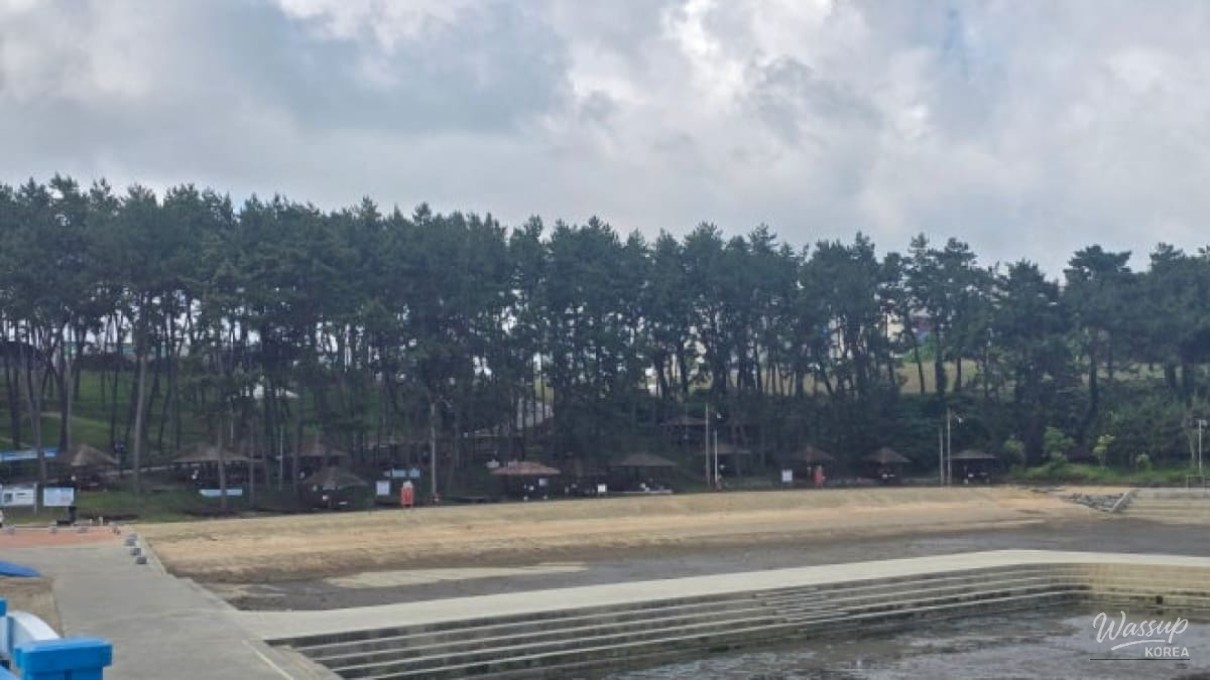 Discover the Charm of Dolmeori Beach in March_04