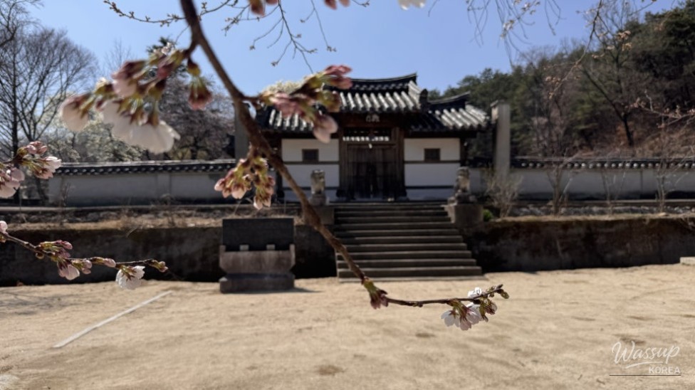Spring at Deokcheon Seowon in Geochang_04