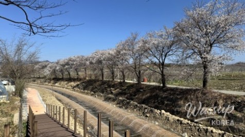 Spring at Deokcheon Seowon in Geochang_01