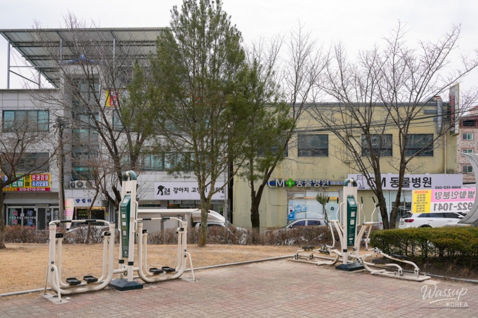 Discovering Hwarang Park: A Serene Retreat for All_04