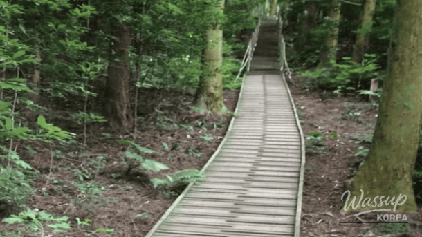 Discovering Healing Spots in Jeju for Spring Travel_02