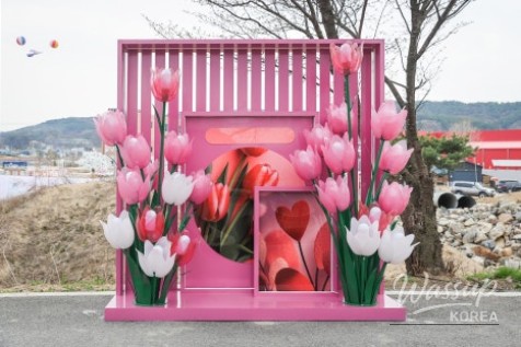 Bo Eun Cherry Blossom Festival 2026_07