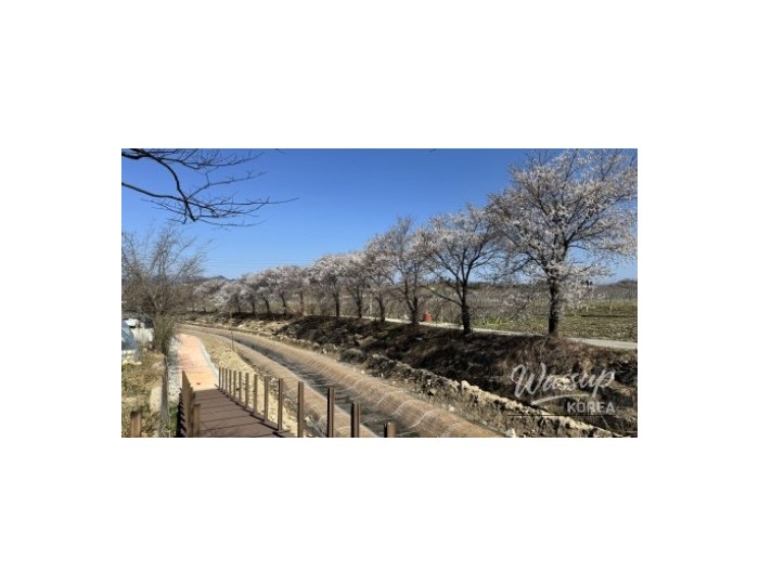 Spring at Deokcheon Seowon in Geochang float