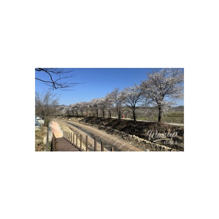 Spring at Deokcheon Seowon in Geochang3141