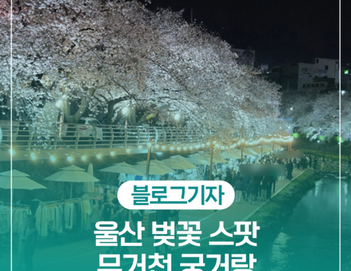 Exploring Ulsan's Cherry Blossom Hotspot: Gunggeorang float