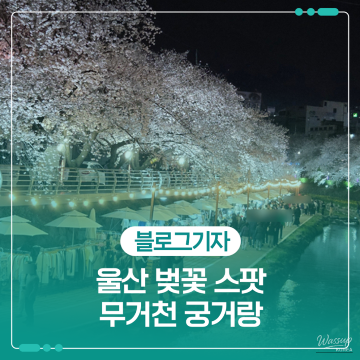 Exploring Ulsan's Cherry Blossom Hotspot: Gunggeorang1591