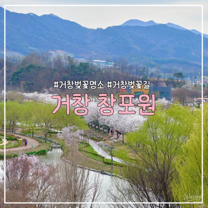 Exploring the Spring Blooms at Changpo Garden3137