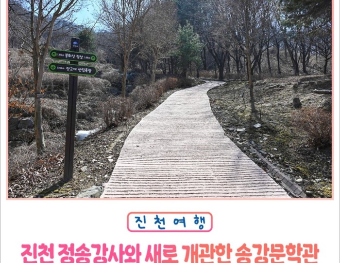 Exploring the Legacy of Songgang Jeongcheol in Jincheon float