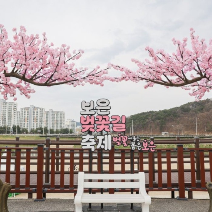 Bo Eun Cherry Blossom Festival 20263144