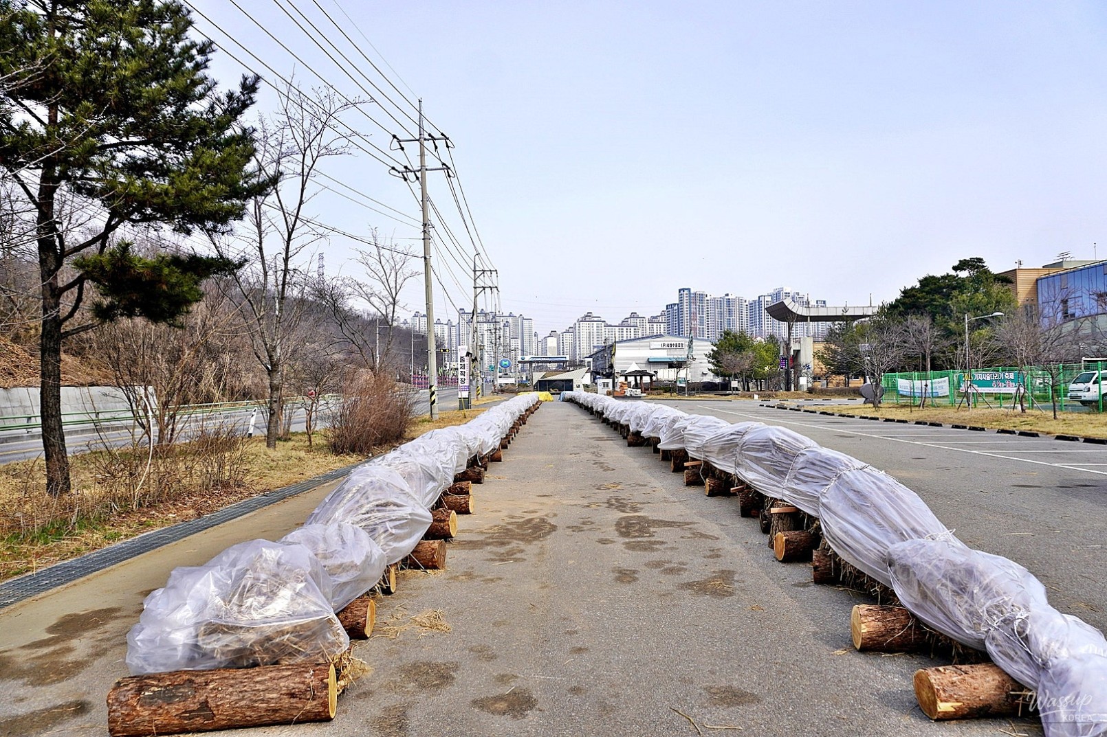 Gijisi Juldarigi Festival: A Celebration of Tradition and Community_03