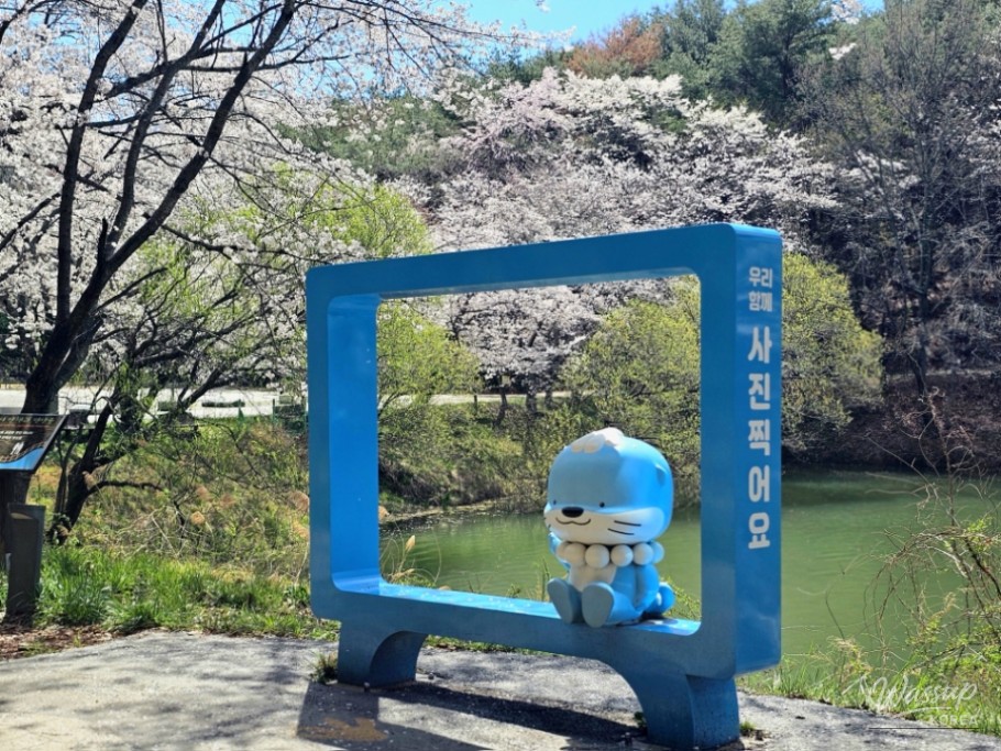 Cherry Blossom Spot in Jinju, Gyeongnam_08