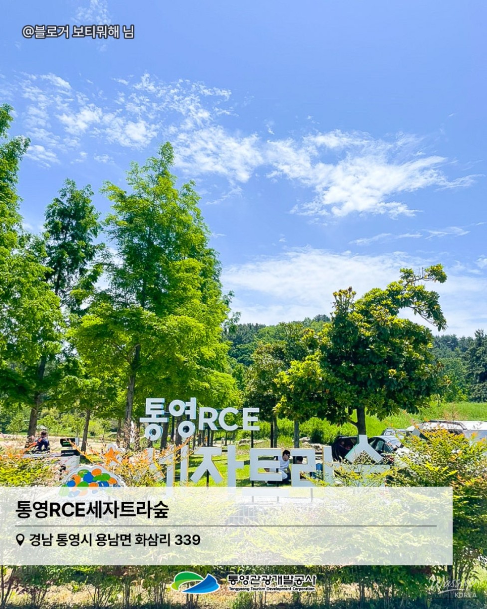 Spring Picnic Spots in Tongyeong: Perfect for Dates and Family Outings_04