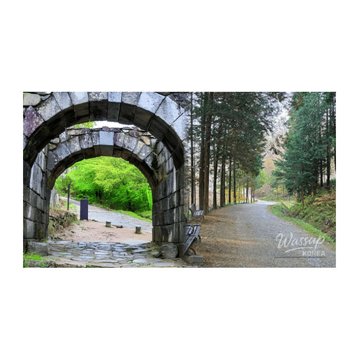 Spring Travel Destinations in Wanju, South Korea3161