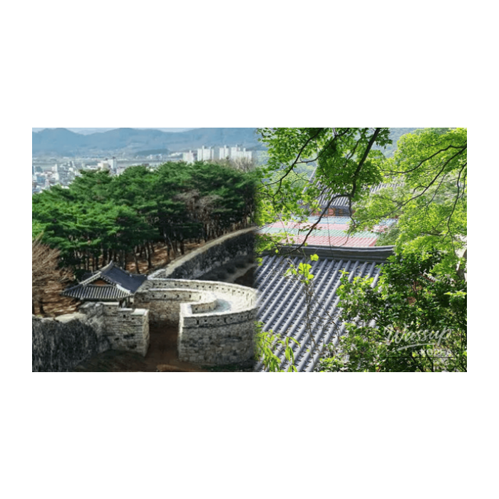 Spring Getaways in Gochang, South Korea3159