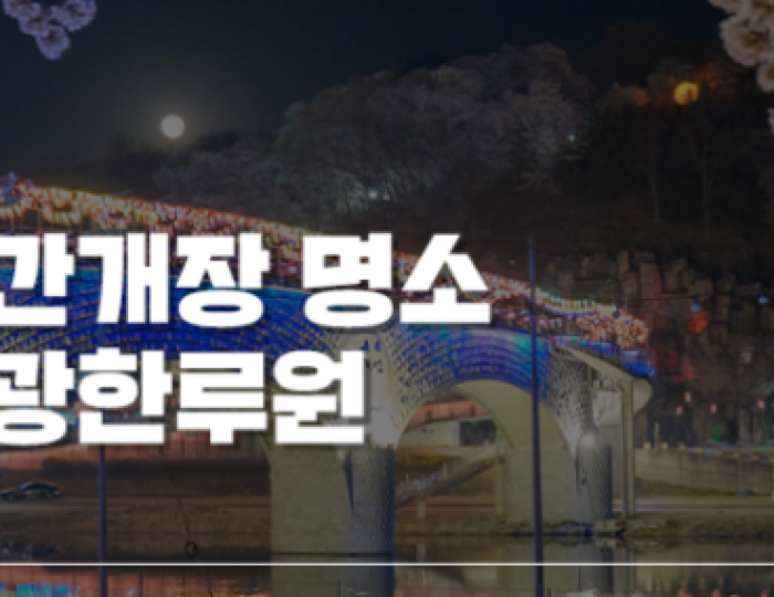 Nighttime Cherry Blossom Viewing in Namwon: A Magical Experience float