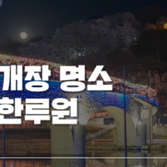 Nighttime Cherry Blossom Viewing in Namwon: A Magical Experience1593