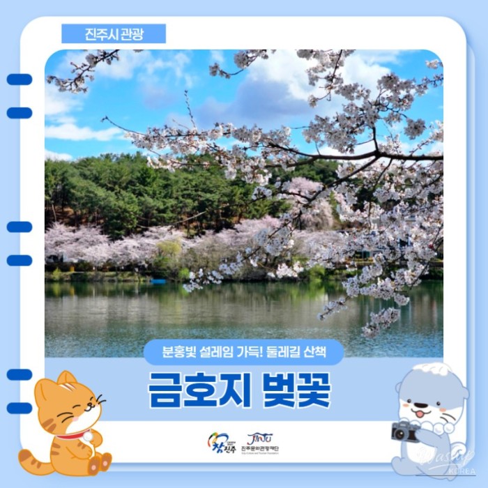 Cherry Blossom Spot in Jinju, Gyeongnam3168