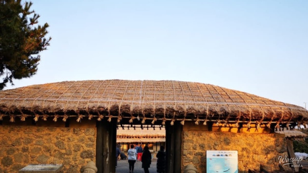 Discover the Beauty of Jeju Sunrise Land in March_05