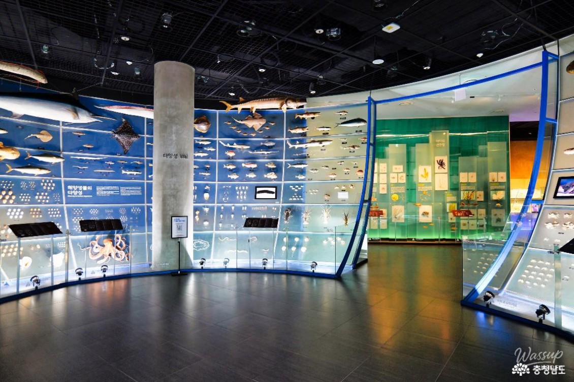 Exploring the National Marine Biodiversity Institute and Janghang Skywalk_05