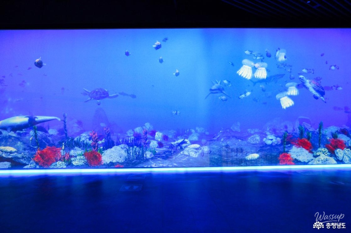 Exploring the National Marine Biodiversity Institute and Janghang Skywalk_07