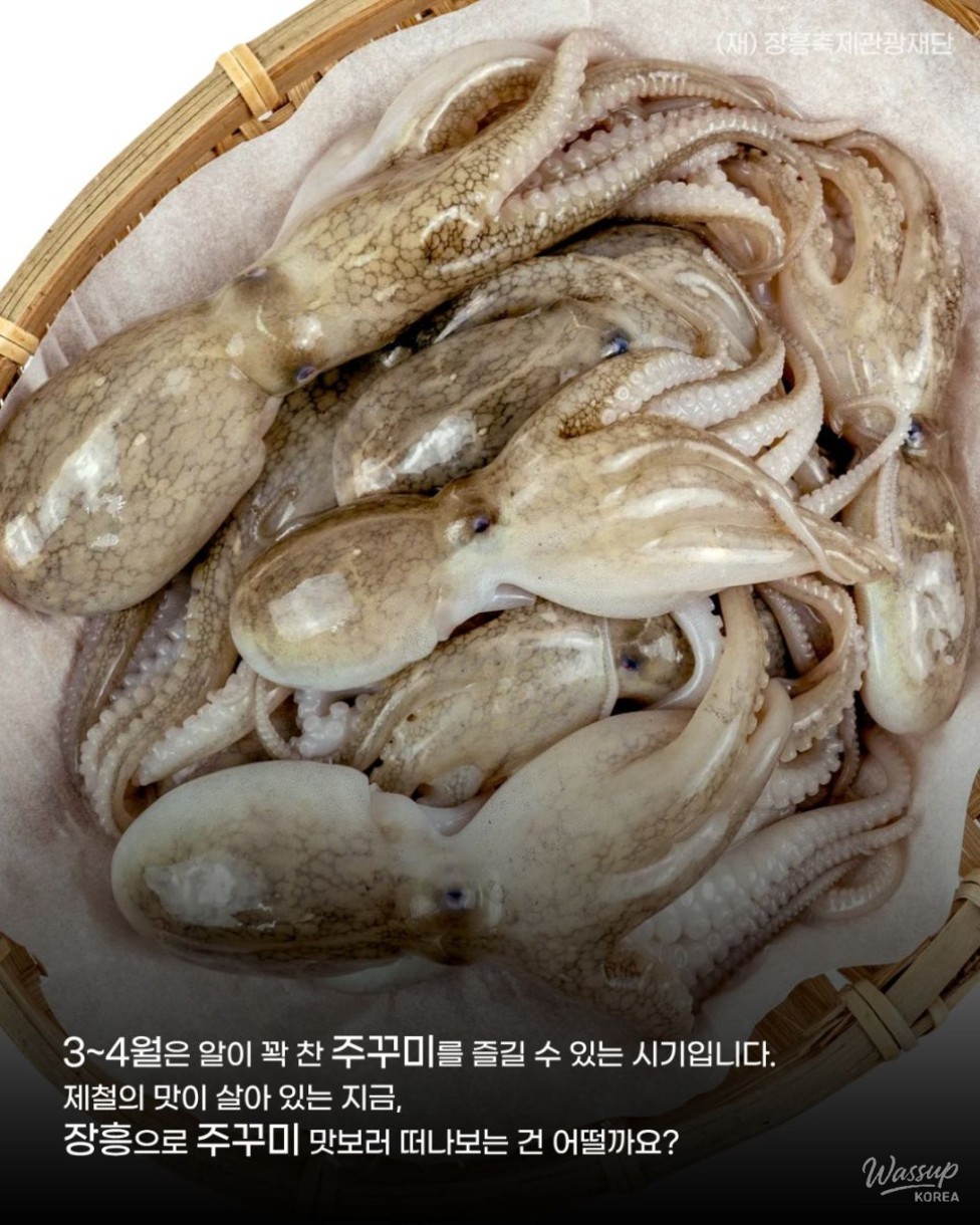 Discovering the Delights of Jangheung's Seasonal Octopus_02