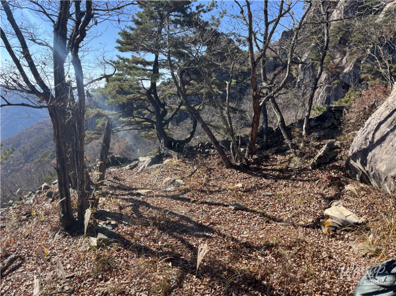 The Untold History of Daejeonsan Mountain_03