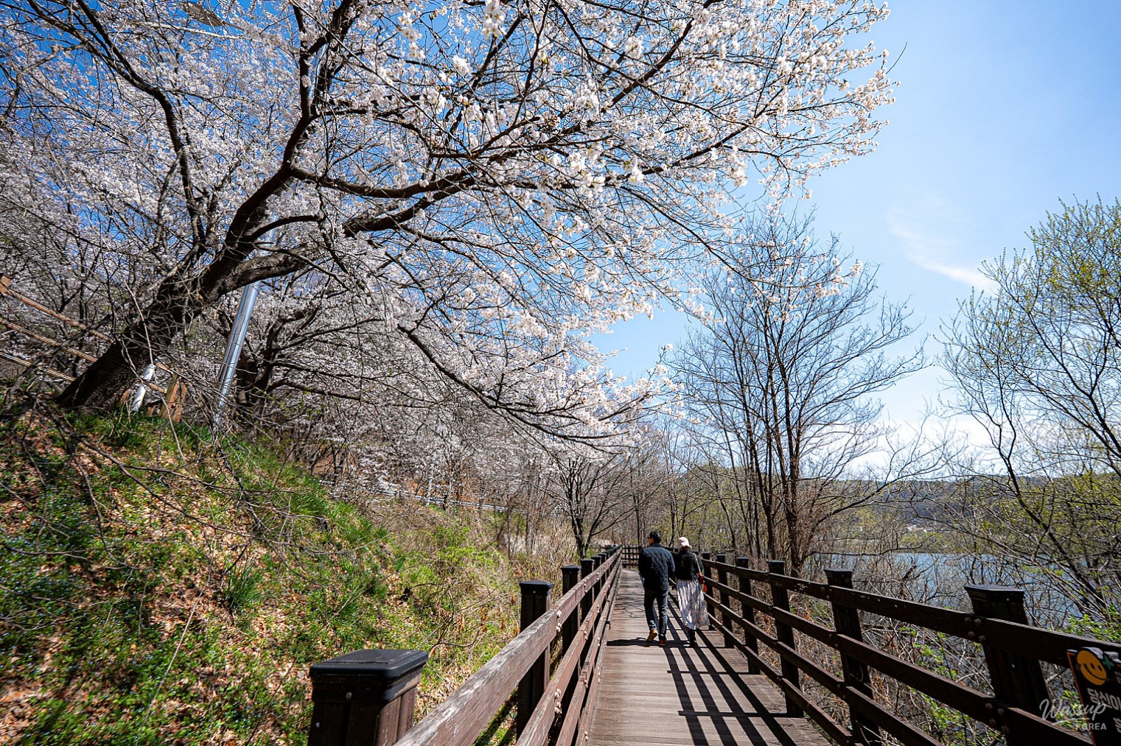Spring Blossoms at Gokbok Natural Park_01