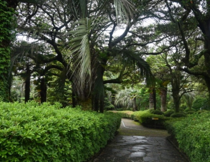 Discover the Beauty of Jeju Sunrise Land in March float