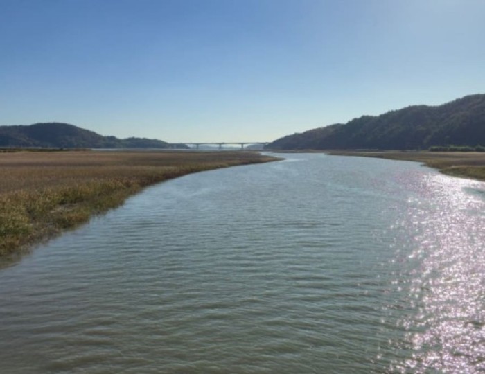The Allure of Boseong Jungdo Marsh in March float