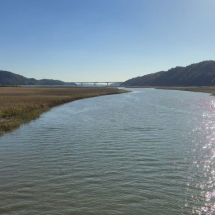 The Allure of Boseong Jungdo Marsh in March3183