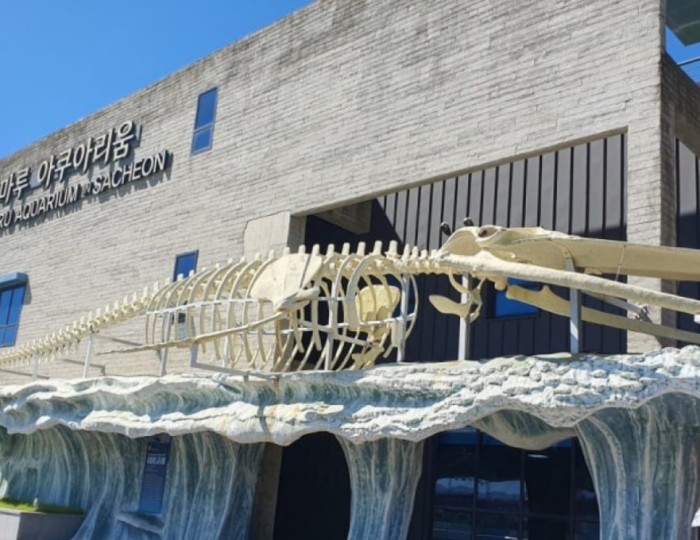 Discover the Wonders of Aramaru Aquarium in March float