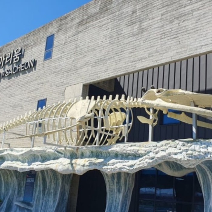 Discover the Wonders of Aramaru Aquarium in March3182