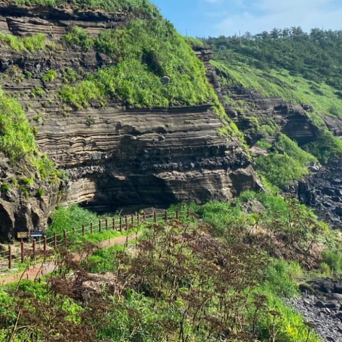 Discovering the Charm of Jeju's Suwolbong Geosite Trail3181