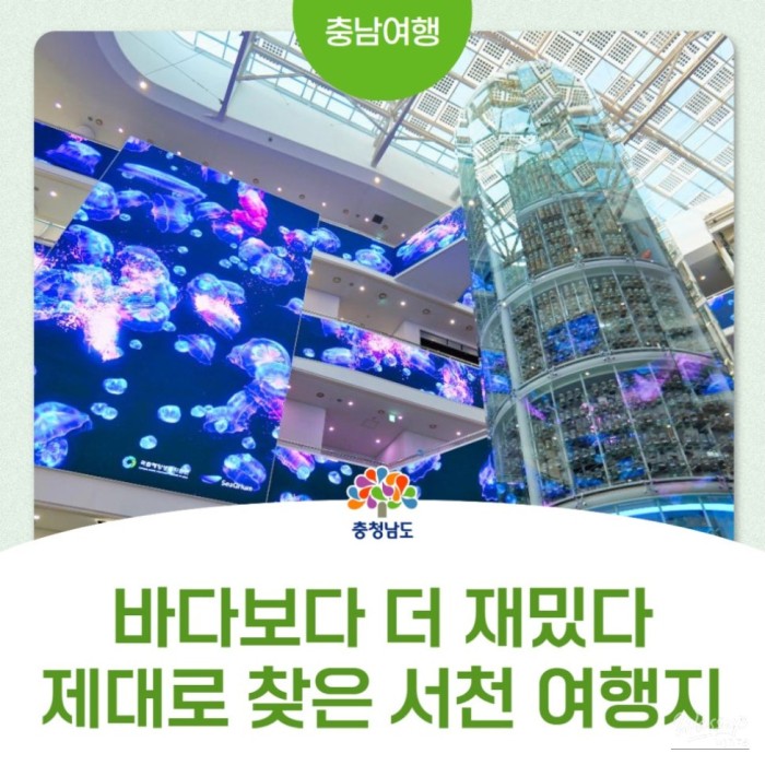 Exploring the National Marine Biodiversity Institute and Janghang Skywalk3172