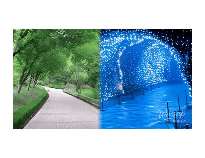 Top 4 Spring Destinations in Gyeonggi Province float