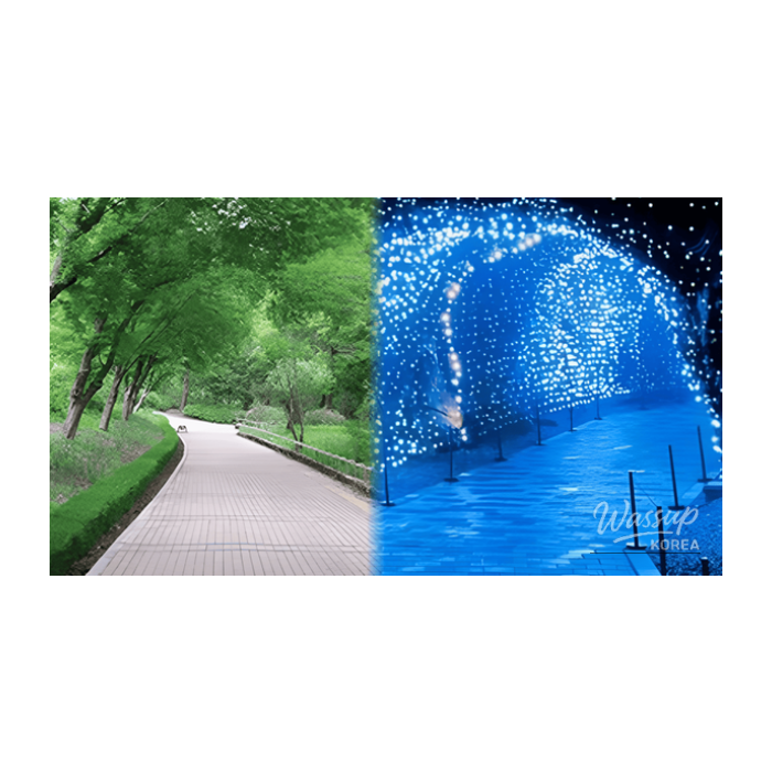 Top 4 Spring Destinations in Gyeonggi Province3186