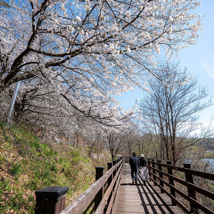 Spring Blossoms at Gokbok Natural Park_01