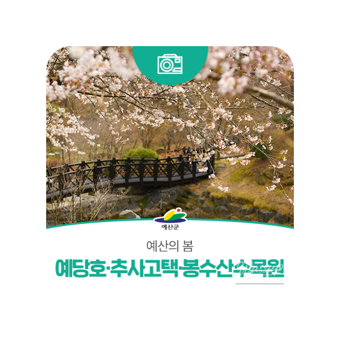 Springtime Adventures in Yesan3188