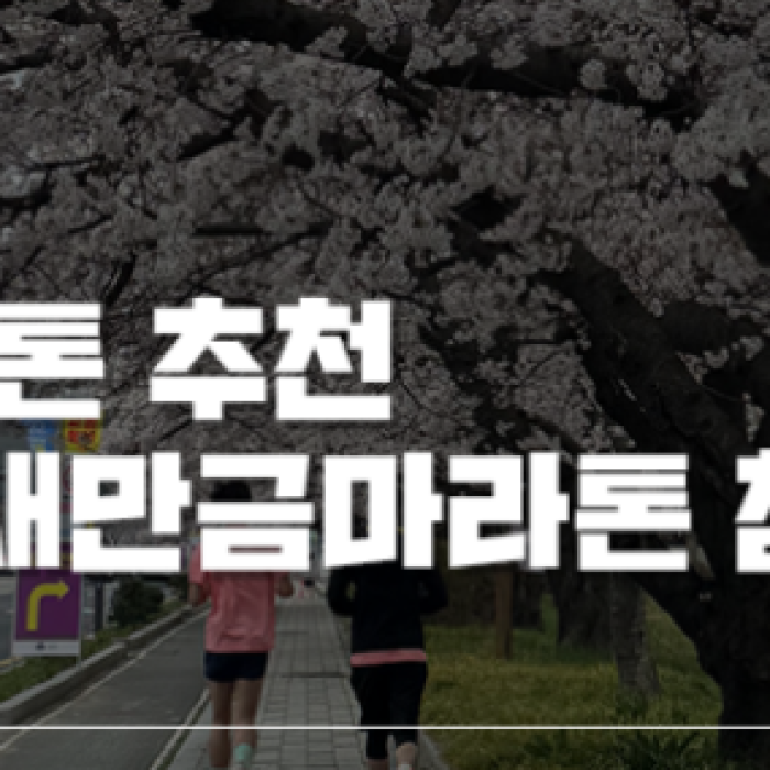 Cherry Blossom Breeze at the Gunsan Saemangeum Marathon1602