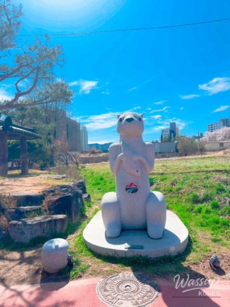 Cherry Blossom Walk at Dongcheon Reservoir_26