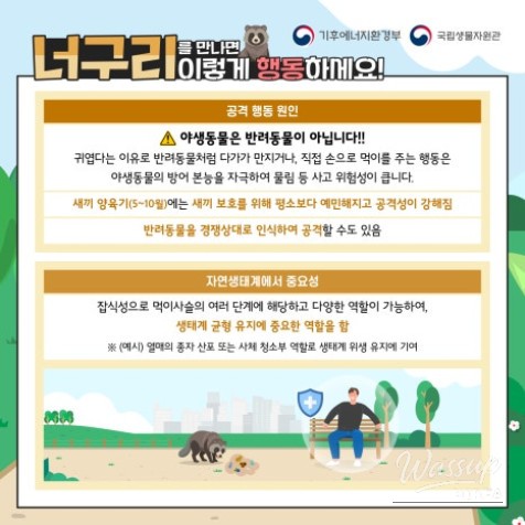 Wildlife Safety Guidelines_02