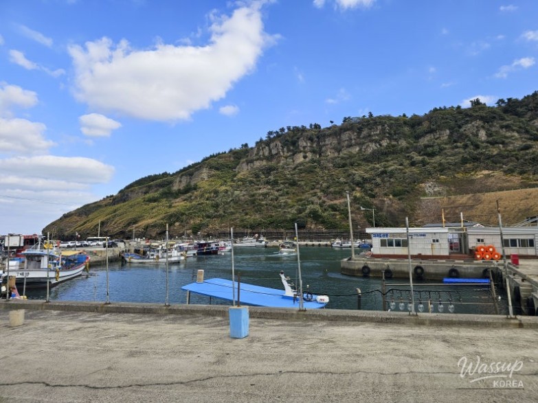 Experience Deep-Sea Fishing in Jeju Island: April Fishing Adventure_03