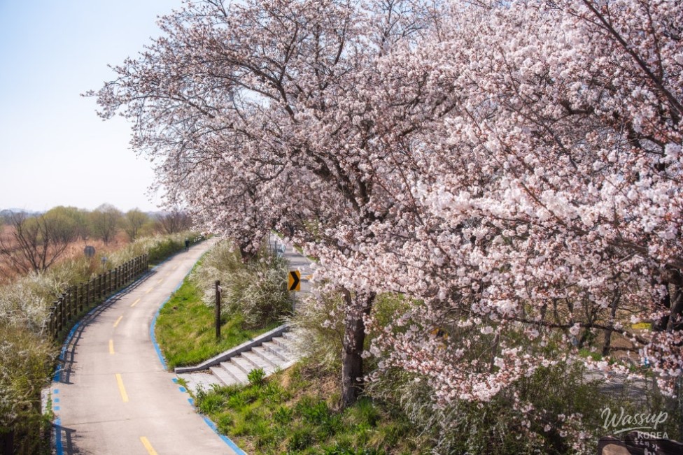 하동 구례 여행 코스 확인하기