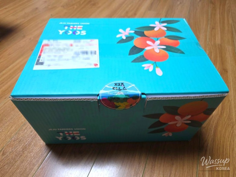 Delicious Jeju Hallabong Experience_05